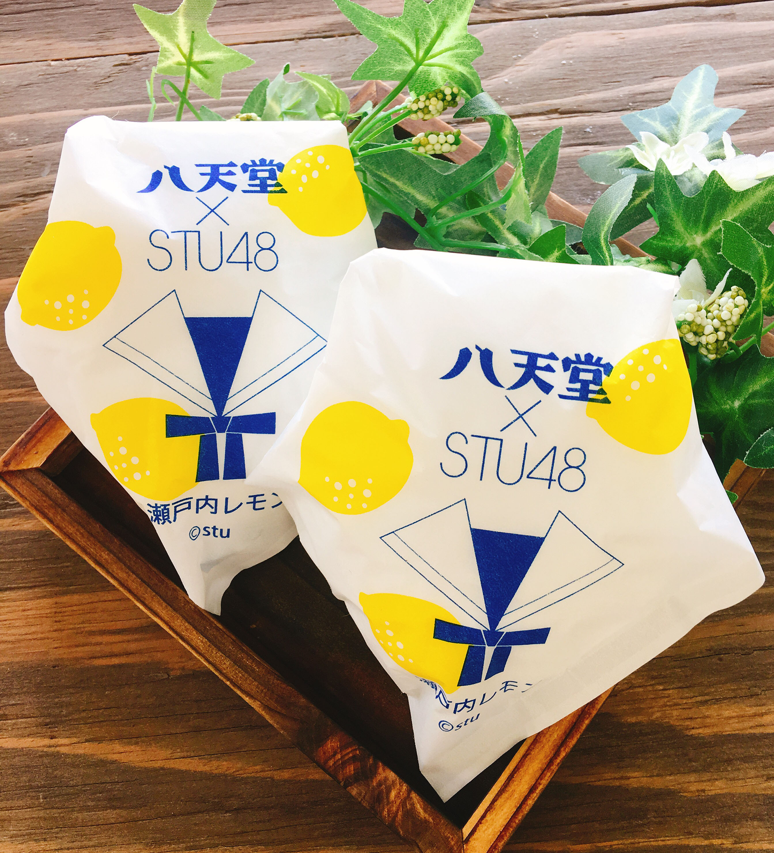 STU48 OFFICIAL WEB SITE｜STU48 FAN CLUB